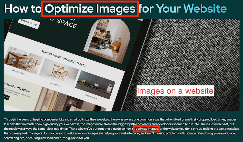 optimized on-page content using SEO basics